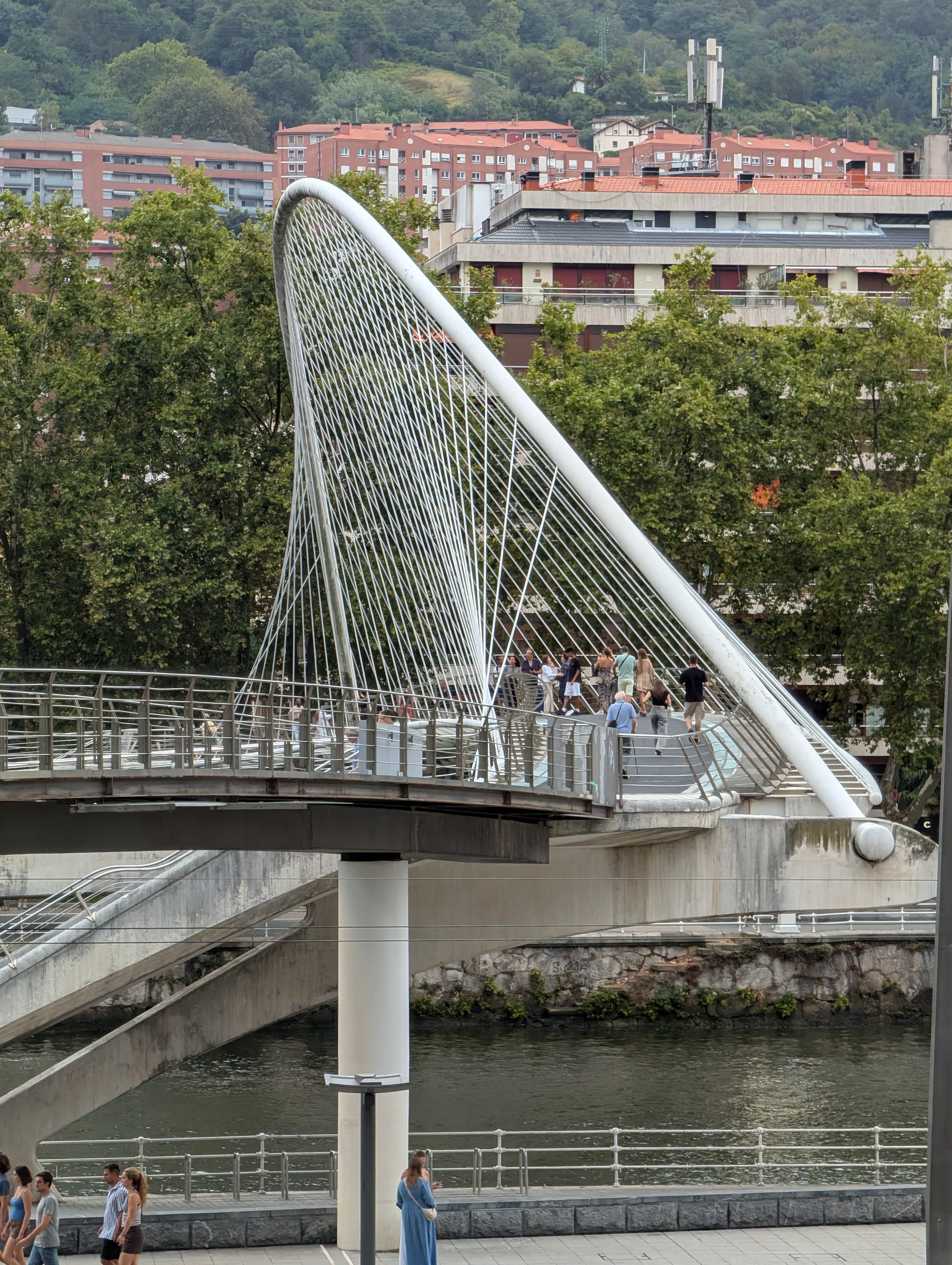 Zubizuri Bridge, Bilbao